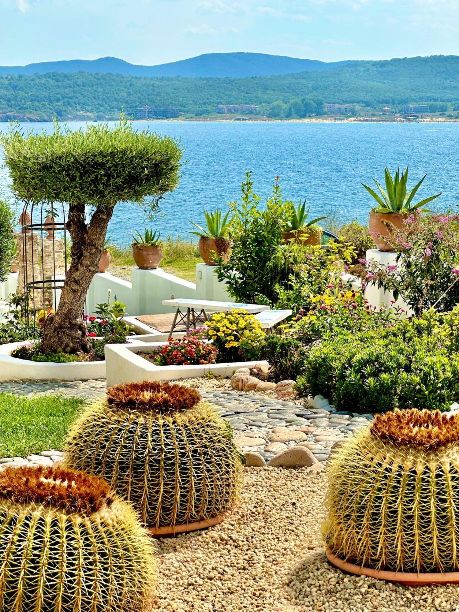 Casa De Oro Alma Aparthotel Sozopol Ngoại thất bức ảnh